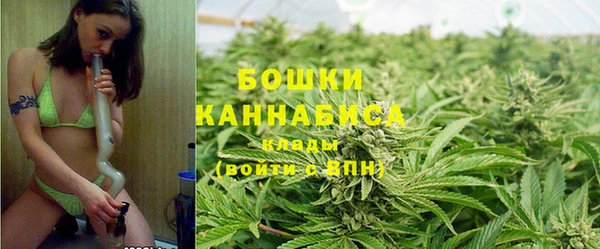 spice Богданович