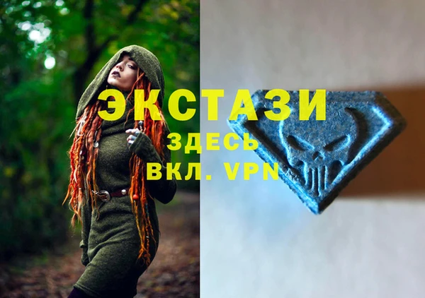 молекула духа Богородск