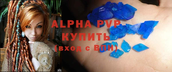 spice Богданович