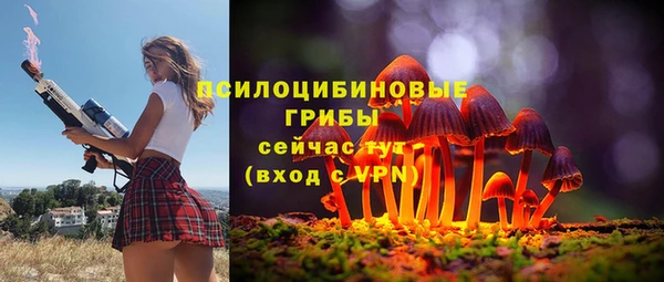молекула духа Богородск