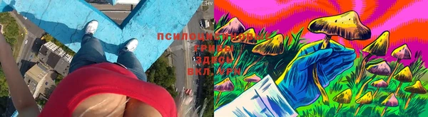 первитин Богородицк