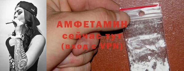 spice Богданович