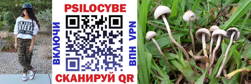 Псилоцибиновые грибы GOLDEN TEACHER  Купить  Маркс 